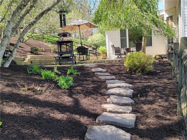 view of yard with a patio area