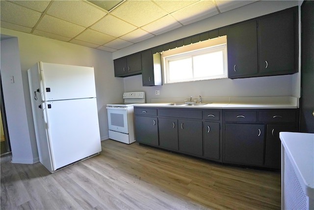 kitchen with white appliances, a sink, light wood-style flooring, light countertops, and a paneled ceiling