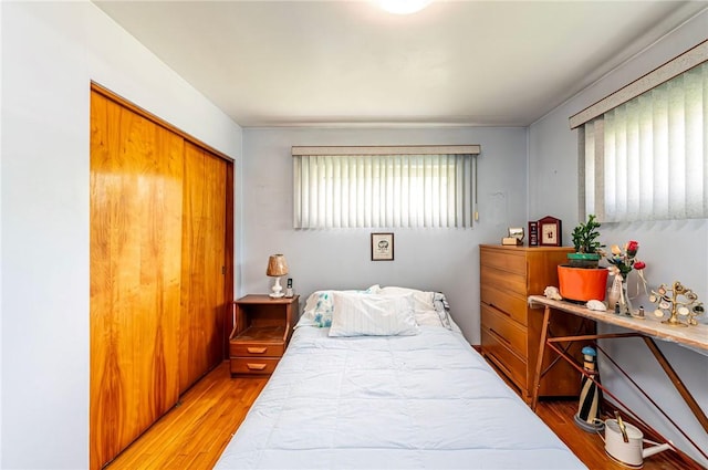 642 Washington St, Fairfield Twp, PA 15923 - bedroom with light wood-style floors and a closet