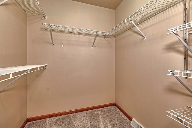 1057 Finchley Rd, North Huntingdon, PA 15642 - walk in closet with carpet floors