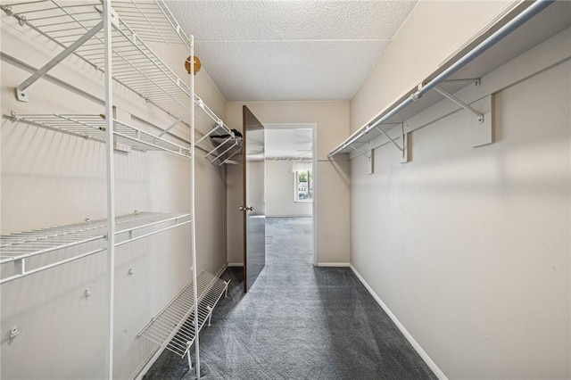 walk in closet featuring dark carpet