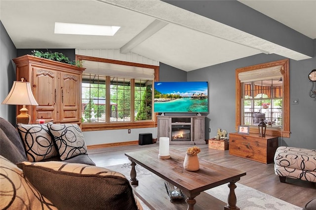 living area with a skylight, wood finished floors, healthy amount of natural light, and a glass covered fireplace
