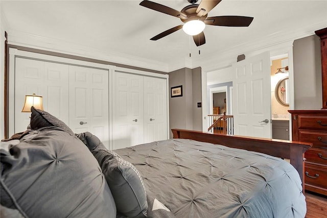 bedroom featuring multiple closets, crown molding, ceiling fan, and wood finished floors