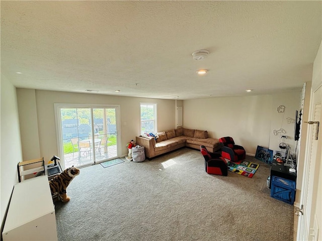 159 Cole Dr, Robinson Twp Nwa, PA 15136 - carpeted living room featuring a textured ceiling