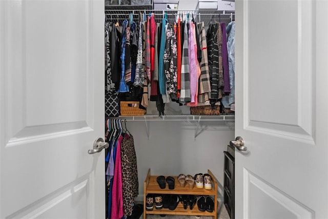 view of closet