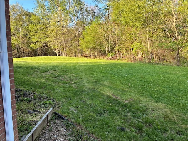 view of green lawn