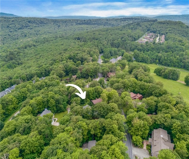 463 Gardner Rd, Hidden Valley, PA 15502 - photo 40