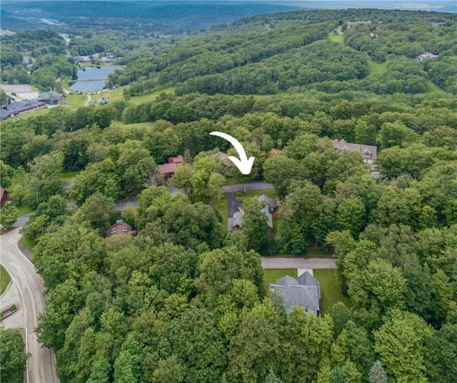 463 Gardner Rd, Hidden Valley, PA 15502 - photo 41