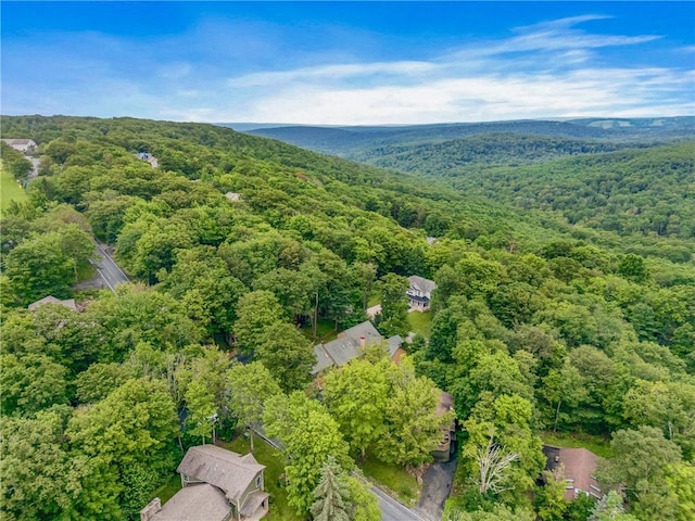 463 Gardner Rd, Hidden Valley, PA 15502 - photo 42