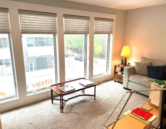 view of carpeted living area