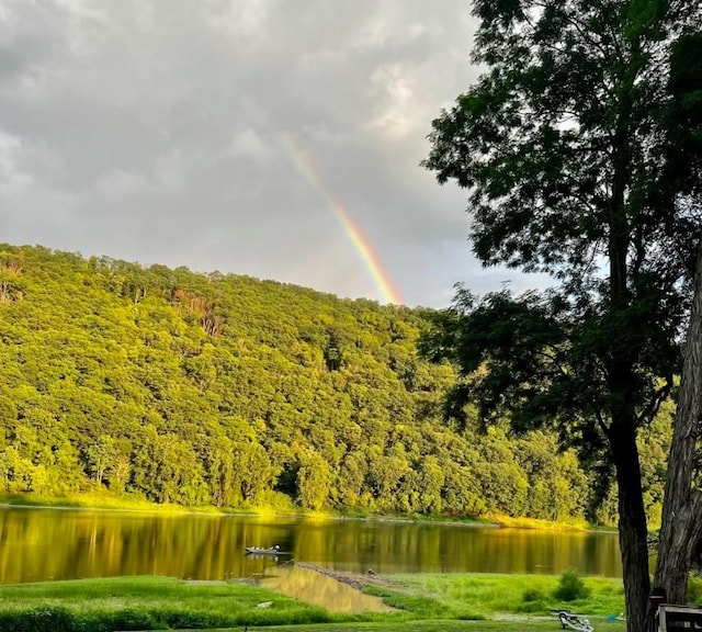 surrounding community featuring a forest view and a water view