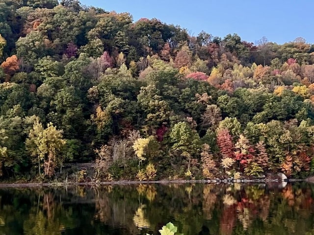 aerial view of a heavily wooded area and a large body of water