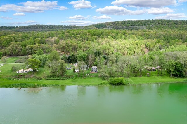 145 Robinson Pl, Perry Twp Arm, PA 16041 - bird's eye view of a forest and a large body of water