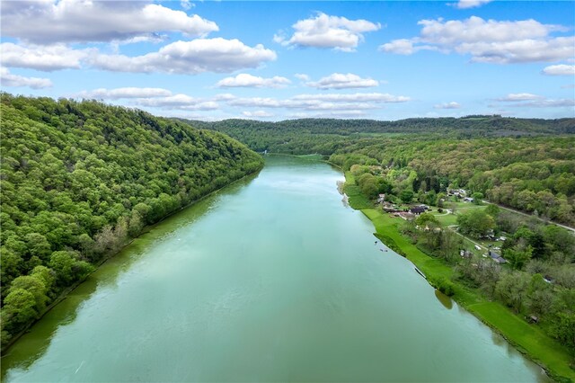 145 Robinson Pl, Perry Twp Arm, PA 16041 - drone / aerial view of a forest and a large body of water