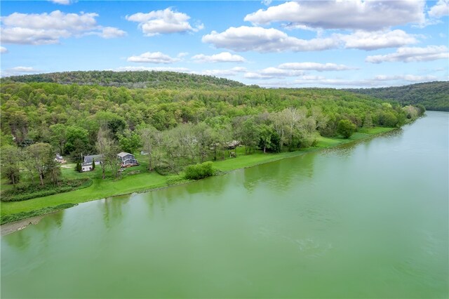 145 Robinson Pl, Perry Twp Arm, PA 16041 - bird's eye view of a forest and a nearby body of water