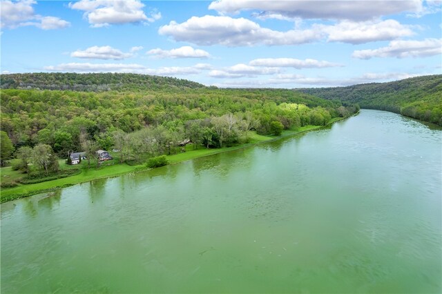 145 Robinson Pl, Perry Twp Arm, PA 16041 - water view with a forest