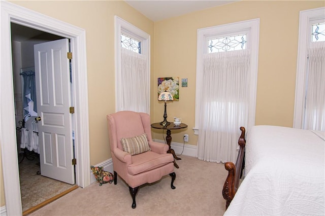 301 Meyers Ave, Meyersdale Boro, PA 15552 - bedroom with carpet flooring, multiple windows, and baseboards