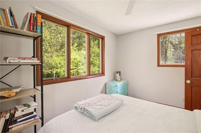 192 Wilkins Hollow Rd, Addison Twp, PA 15411 - bedroom featuring a ceiling fan
