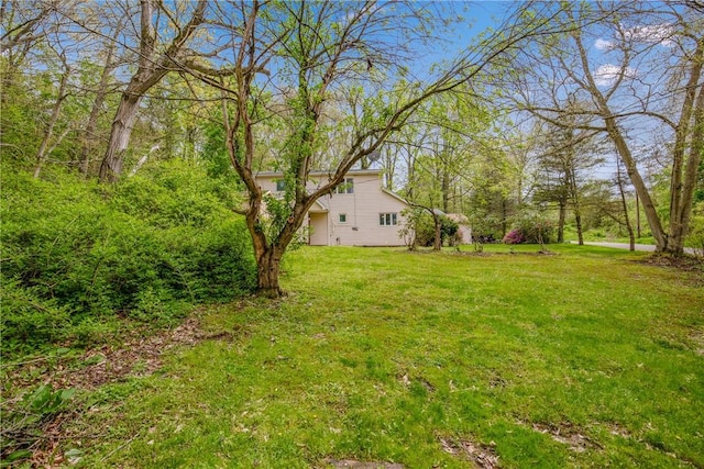 192 Wilkins Hollow Rd, Addison Twp, PA 15411 - view of green lawn