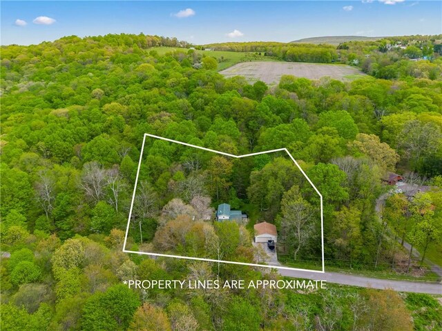 192 Wilkins Hollow Rd, Addison Twp, PA 15411 - view of property location featuring a heavily wooded area and property boundaries highlighted