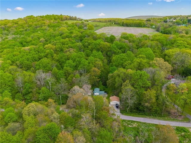192 Wilkins Hollow Rd, Addison Twp, PA 15411 - aerial view of a heavily wooded area
