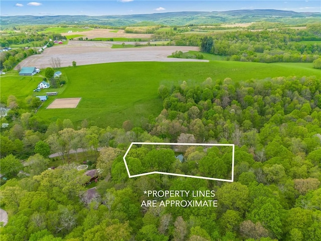 192 Wilkins Hollow Rd, Addison Twp, PA 15411 - aerial view of sparsely populated area with a forest and property boundaries highlighted