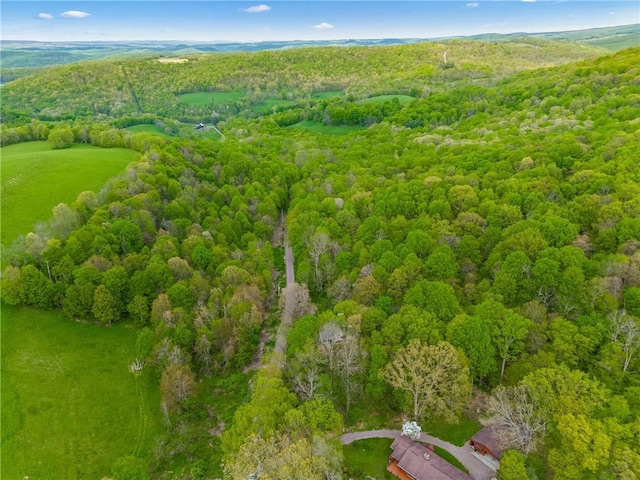 192 Wilkins Hollow Rd, Addison Twp, PA 15411 - drone / aerial view of a forest
