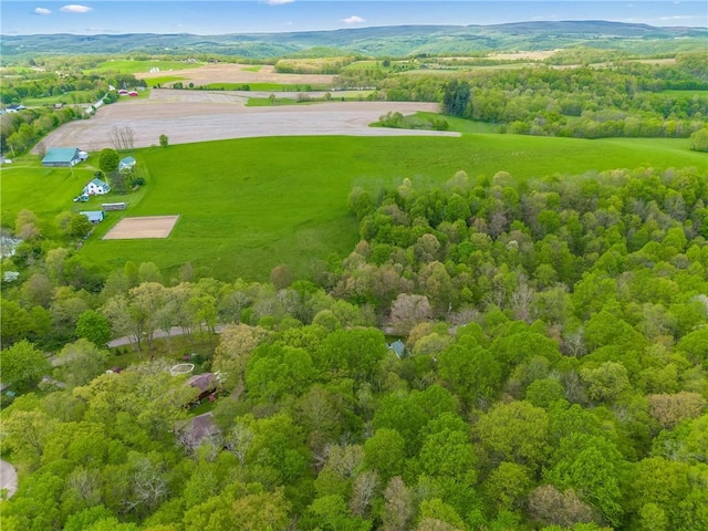 192 Wilkins Hollow Rd, Addison Twp, PA 15411 - aerial view of sparsely populated area with a forest