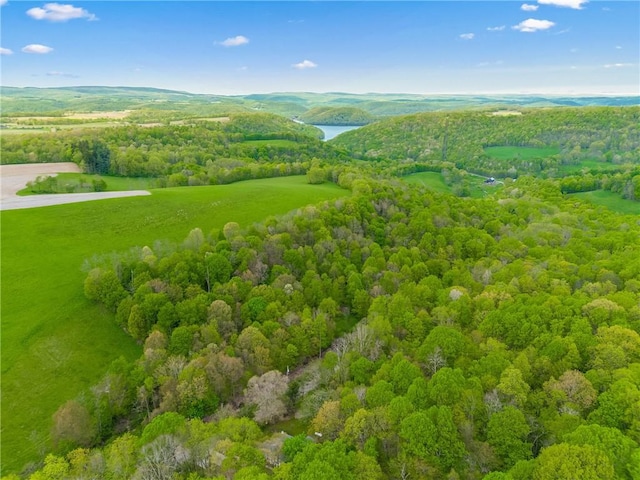 192 Wilkins Hollow Rd, Addison Twp, PA 15411 - drone / aerial view of a forest and a nearby body of water