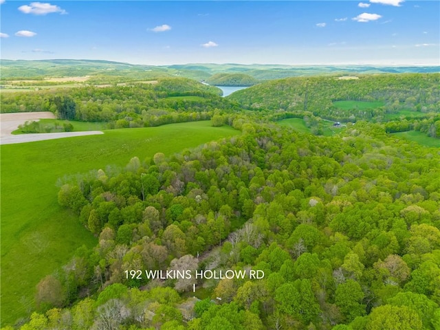 192 Wilkins Hollow Rd, Addison Twp, PA 15411 - aerial view of a nearby body of water and a forest