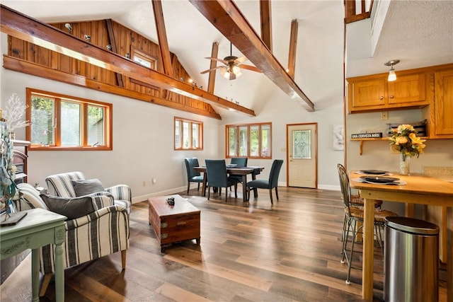 192 Wilkins Hollow Rd, Addison Twp, PA 15411 - living area with baseboards, dark wood-type flooring, high vaulted ceiling, and a ceiling fan