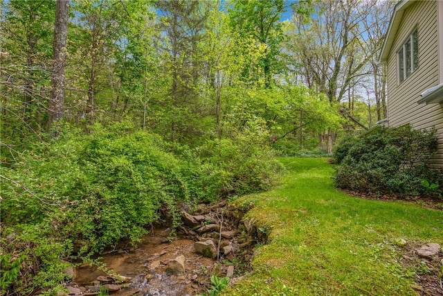 192 Wilkins Hollow Rd, Addison Twp, PA 15411 - view of grassy yard