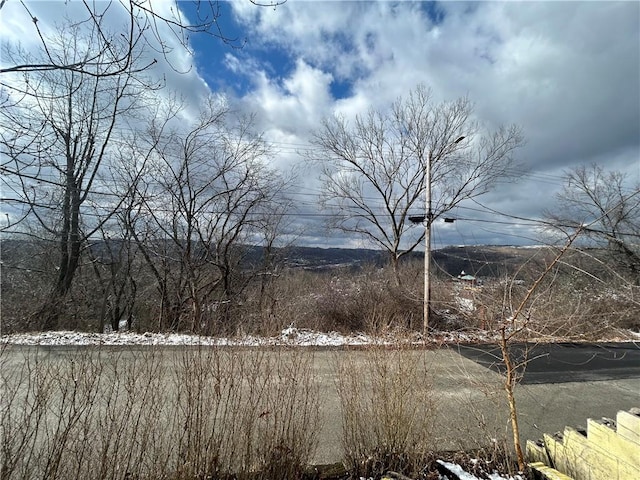 792 11th St, Pitcairn, PA 15140 - view of yard