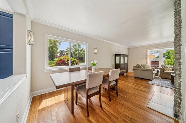 4625 Doverdell Dr, Whitehall, PA 15236 - dining space with wood finished floors, ornamental molding, and baseboards