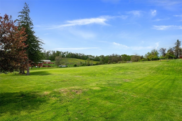 10 Chestnut Ln, Finleyville, PA 15332 - view of grassy yard with a view of rural / pastoral area