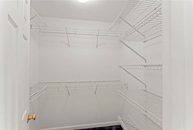 view of walk in closet
