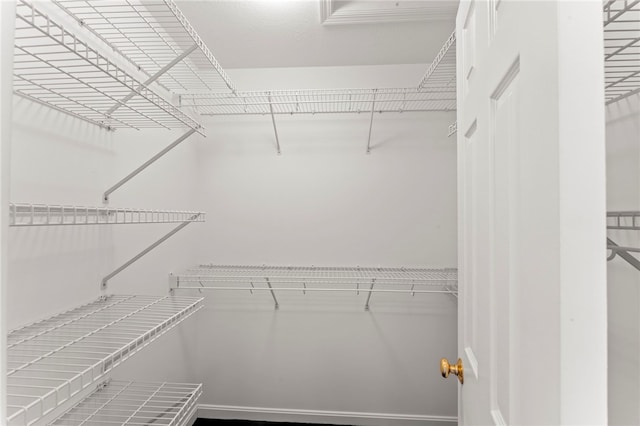 view of spacious closet