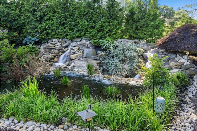 view of local wilderness