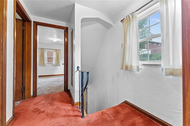 2405 Whited St, Brookline, PA 15226 - hallway with carpet flooring, baseboards, and a textured wall