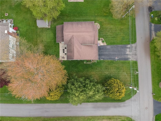 bird's eye view