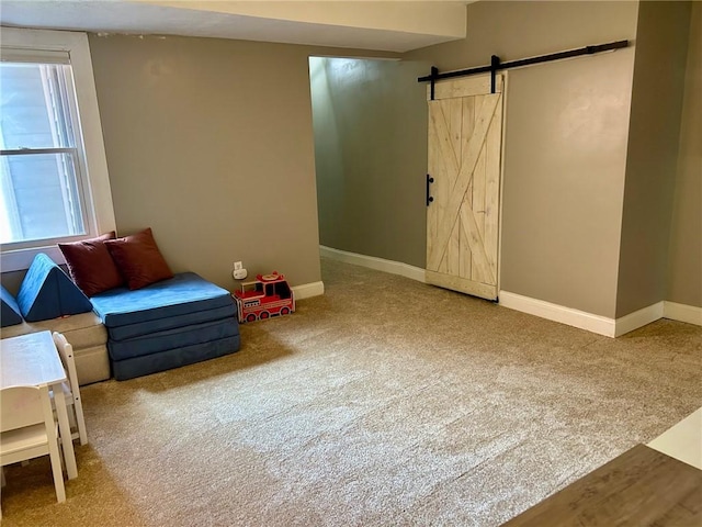 615 Tripoli St, East Allegheny, PA 15212 - living area featuring carpet floors and a barn door