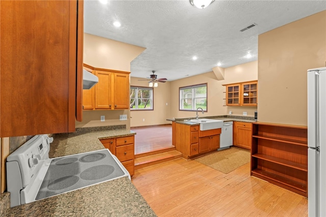 128 Evergreen Dr, Peters Twp, PA 15317 - kitchen with white appliances, light wood-type flooring, under cabinet range hood, ceiling fan, and glass insert cabinets