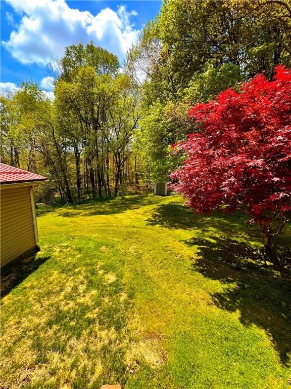 view of grassy yard