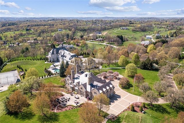 aerial view