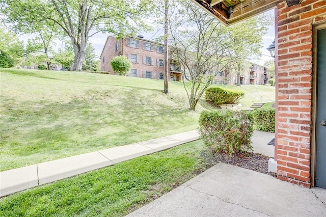 view of green lawn