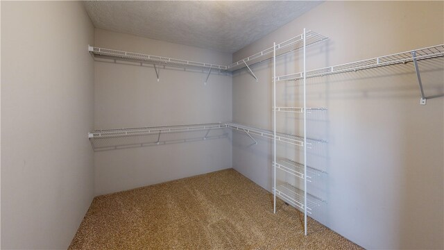 spacious closet with carpet floors