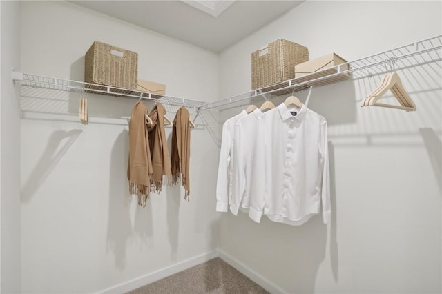 122 River Ridge Drive, Moon/Crescent Twp, PA 15108 - walk in closet featuring carpet flooring