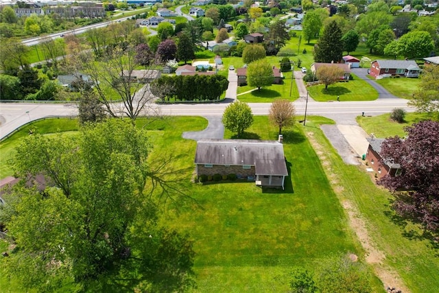 bird's eye view