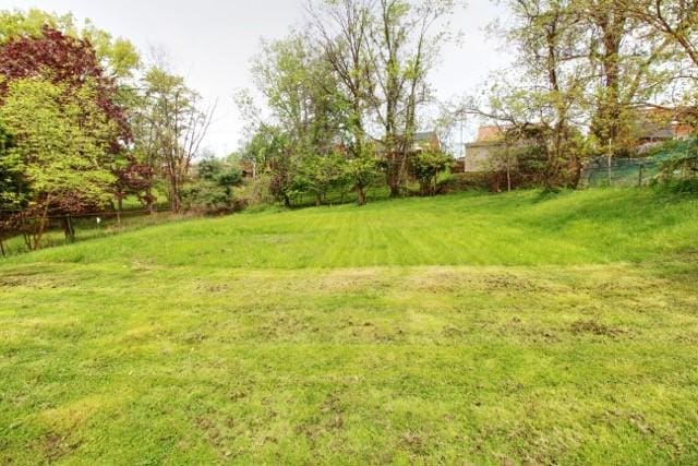 513 Crestview Dr, Plum Boro, PA 15239 - view of grassy yard