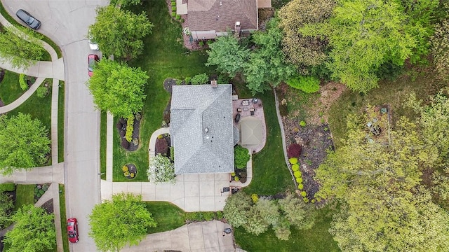 bird's eye view
